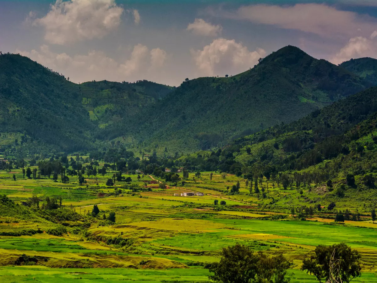 Araku Valley Vizag