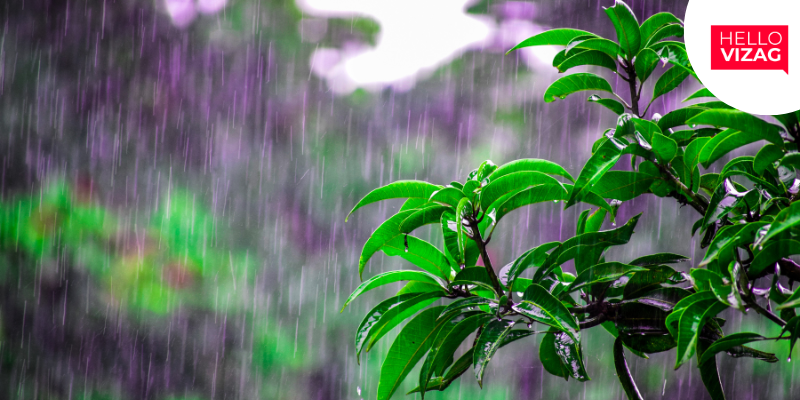 Andhra Pradesh Records 35% Excess Pre-Monsoon Rainfall, But Vizag Misses Out