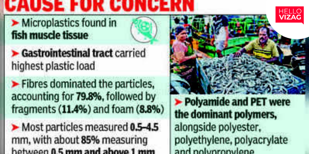 Microplastics Found in Fish Caught Off Vizag Coast, Andhra University Study Finds