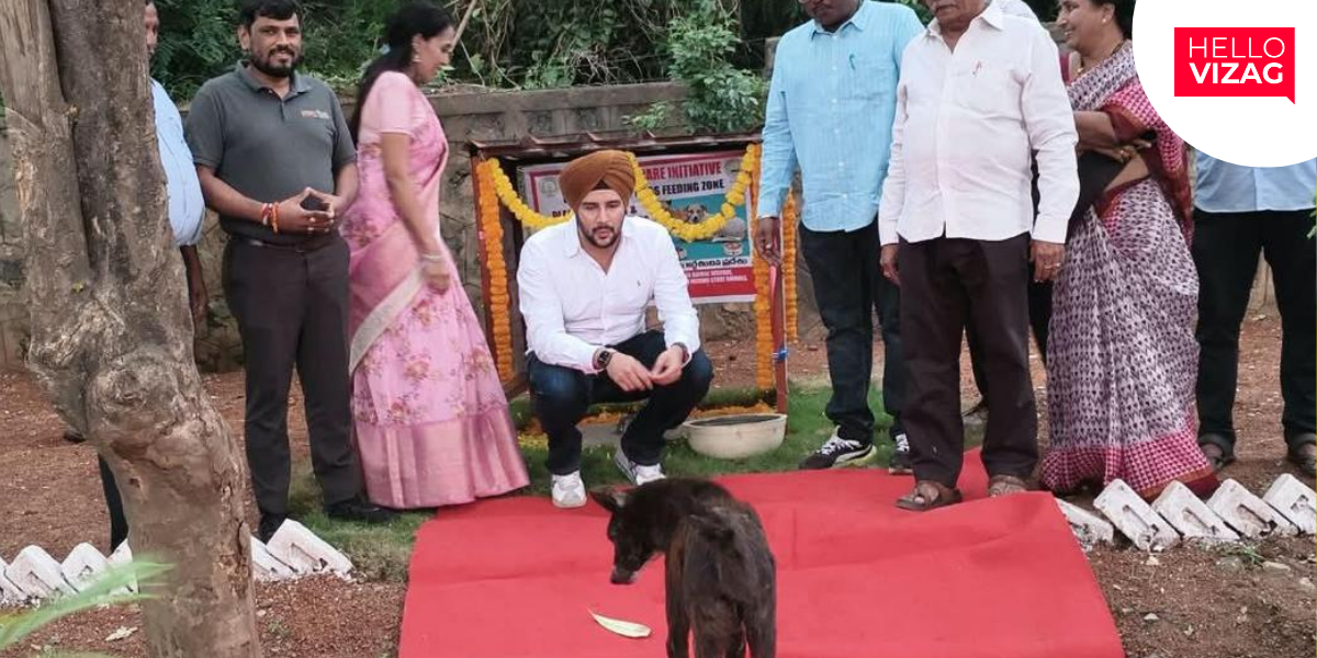 GVMC Plans 25 Dedicated Feeding Zones for Stray Dogs Across Visakhapatnam