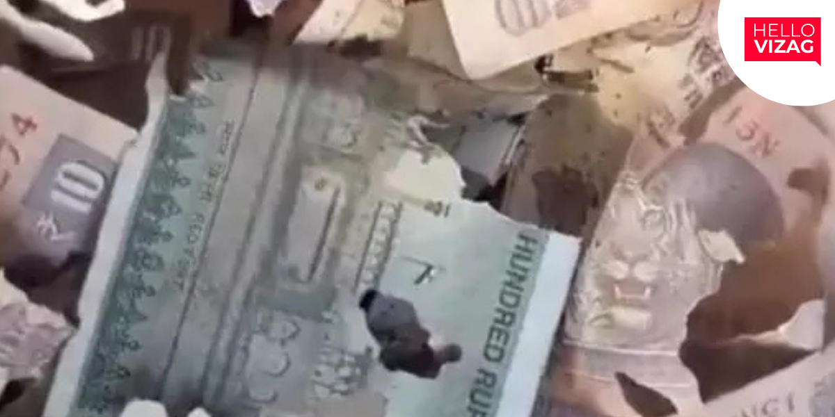 Termite-Damaged Currency Notes Found Dumped Near Central Park in Visakhapatnam