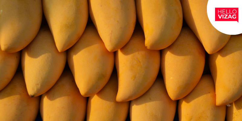 Harvest-Ready Mango Crop Devastated by Adverse Weather in Andhra Pradesh
